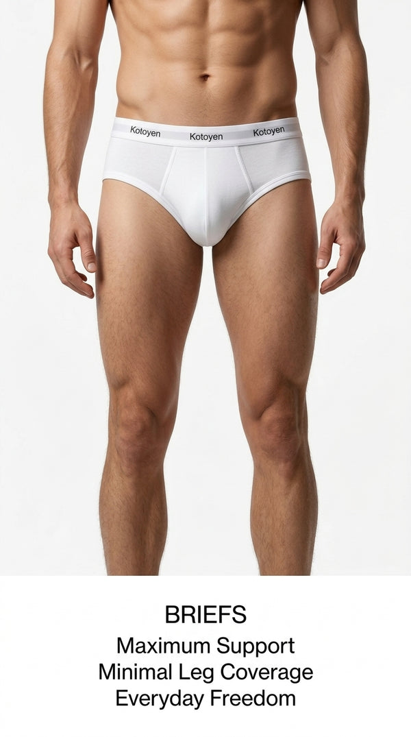 Briefs